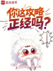 你这攻略正经吗？