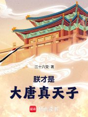 朕，才是大唐真天子