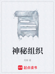 神秘组织在线阅读