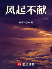 风起不献在线阅读