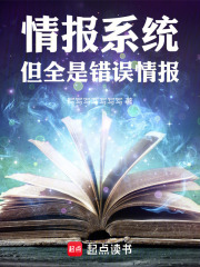 情报系统，但全是错误情报