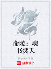 命陵：魂书焚天在线阅读