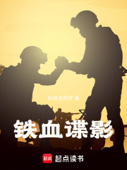 铁血谍影