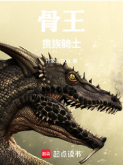 骨王：贵族骑士