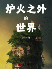 炉火之外的世界在线阅读