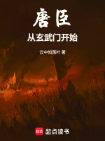 唐臣：从玄武门之变开始封面