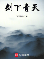 剑下青天封面
