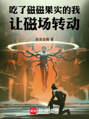 吃了磁磁果实的我让磁场转动