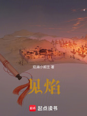 见焰在线阅读
