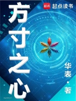 方寸之心在线阅读