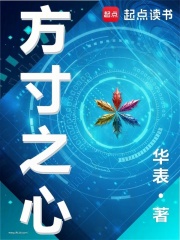 方寸之心