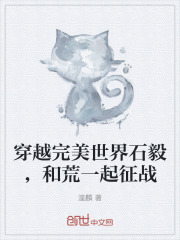 穿越完美世界石毅，和荒一起征战