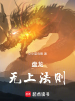 盘龙：无上法则封面