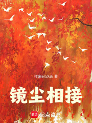 镜尘相接在线阅读