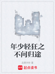 年少轻狂之不问归途
