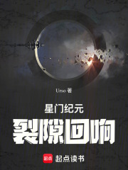 星门纪元：裂隙回响在线阅读