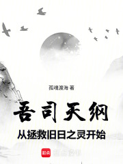 吾司天纲，从拯救旧日之灵开始