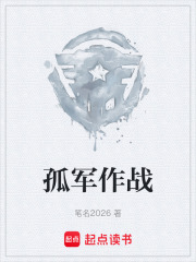 孤军作战在线阅读