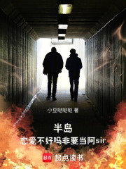 半岛：警察故事