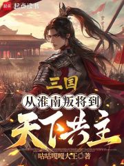 三国：从淮南叛将到天下共主