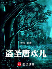 盗圣唐欢儿在线阅读