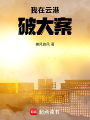 我在云港破大案