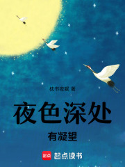 夜色深处有凝望在线阅读