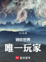 骑砍世界：唯一玩家