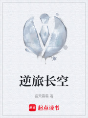 逆旅长空在线阅读