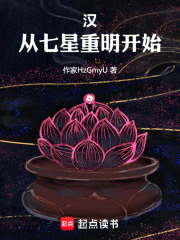 汉：从七星重明开始在线阅读