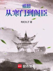 崛起：从寒门到阁臣