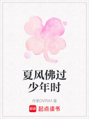 夏风佛过少年时在线阅读