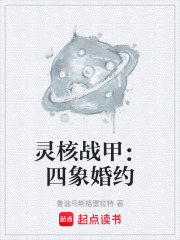 灵核战甲：四象婚约在线阅读