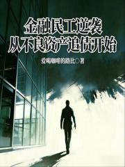 逆袭从不良资产追债开始