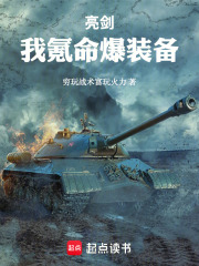 亮剑：我氪命爆装备在线阅读