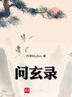 问玄录封面