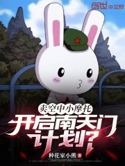 卖空中小摩托，开启南天门计划？在线阅读