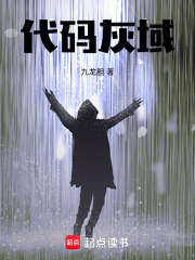 代码灰域在线阅读