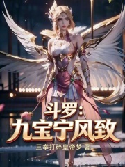 斗罗：九宝宁风致