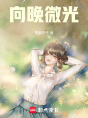 向晚微光在线阅读
