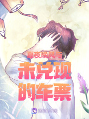 夏夜晚风与未兑现的车票在线阅读