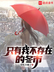 只有我不存在的冬市