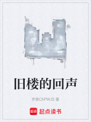 旧楼的回声在线阅读