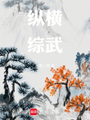 纵横综武在线阅读