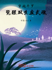 穿越斗罗：觉醒双生废武魂