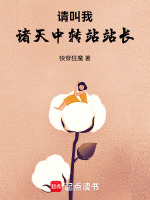 请叫我诸天中转站站长封面