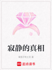 寂静的真相在线阅读