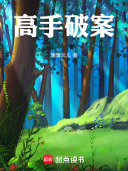 高手破案在线阅读
