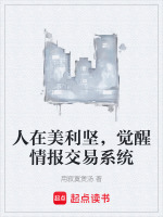 人在美利坚，觉醒情报交易系统封面