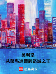 美利坚：从菜鸟巡警到洛城之王